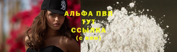 СК Нефтекумск