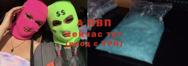 трава Надым